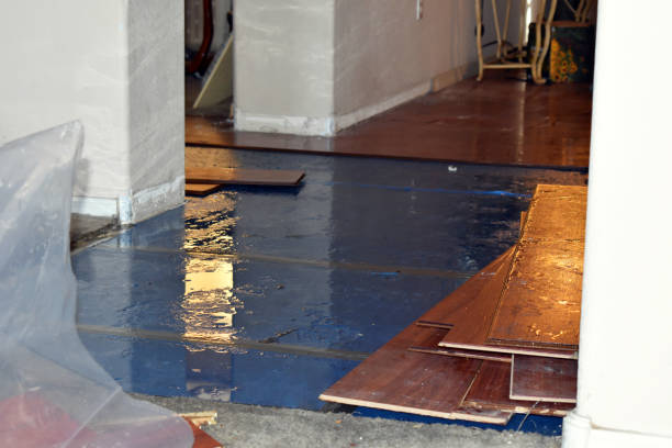 Professional Basement Flood Cleanup technician working in Folly Beach, SC